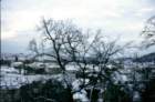 praga0109_small.jpg