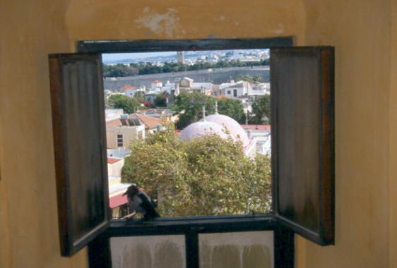 rodi0013.jpg