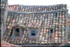 rodi0026_small.jpg
