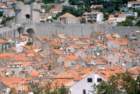 rodi0028_small.jpg