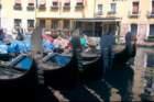 rodi0029_small.jpg