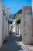 rodi0035_small.jpg