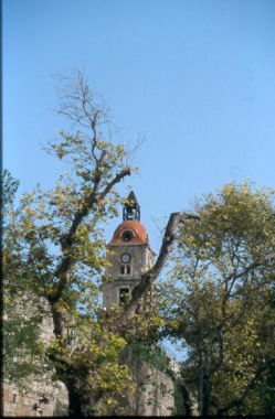 rodi0041.jpg