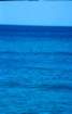rodi0053_small.jpg