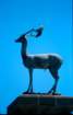 rodi0054_small.jpg