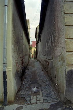romania0026.jpg