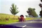 romania0053_small.jpg