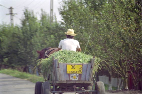 romania0054.jpg