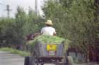 romania0054_small.jpg
