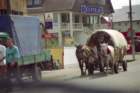 romania0056_small.jpg