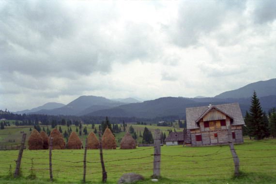 romania0060.jpg