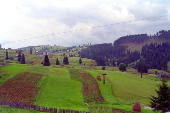 romania0062.jpg