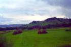 romania0067_small.jpg