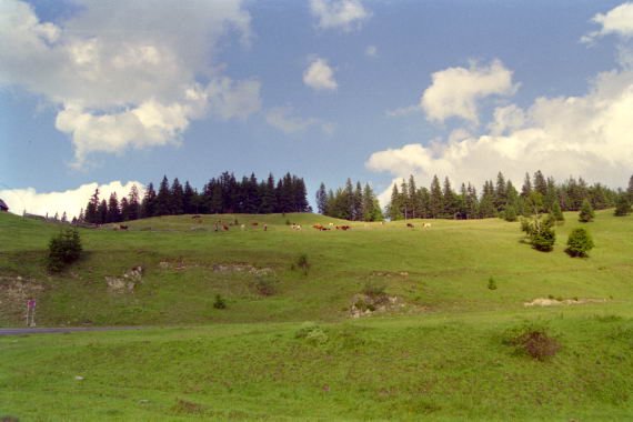 romania0095.jpg