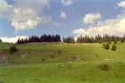 romania0095_small.jpg