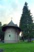 romania0121_small.jpg