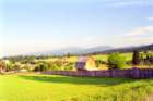 romania0163_small.jpg