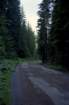 romania0164_small.jpg