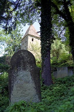 romania0202.jpg