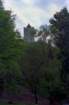 romania0266_small.jpg