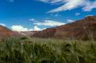 tibet_o_30_small.jpg