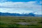 tibet_o_38_small.jpg