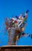 tibet_v_20_small.jpg