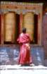 tibet_v_24_small.jpg