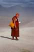 tibet_v_30_small.jpg