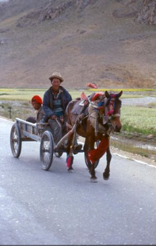 tibet_v_31.jpg