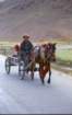 tibet_v_31_small.jpg