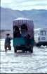 tibet_v_33_small.jpg