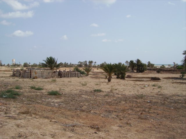 tunisia0004.jpg