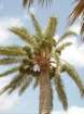 tunisia0005_small.jpg