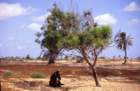 tunisia0011_small.jpg