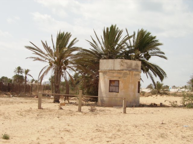 tunisia0013.jpg