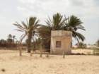tunisia0013_small.jpg