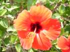 tunisia0015_small.jpg