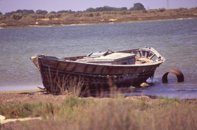 tunisia0029.jpg