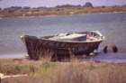 tunisia0029_small.jpg