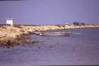 tunisia0030_small.jpg