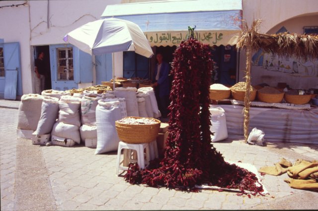 tunisia0042.jpg