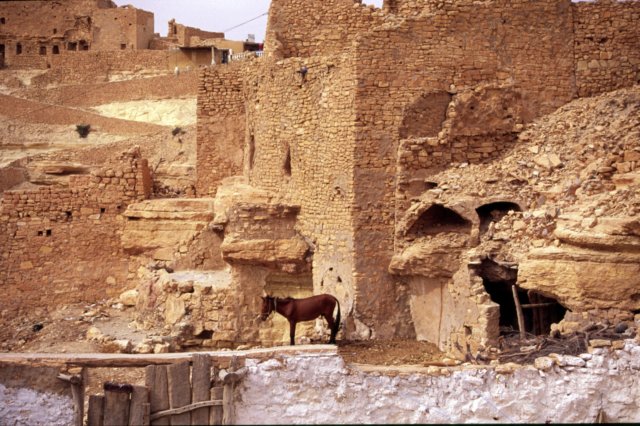 tunisia0061.jpg