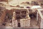 tunisia0062_small.jpg