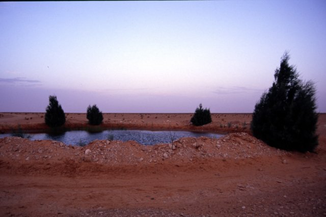 tunisia0078.jpg