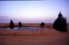 tunisia0078_small.jpg