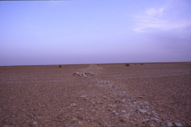 tunisia0079.jpg