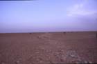tunisia0079_small.jpg