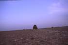tunisia0080_small.jpg