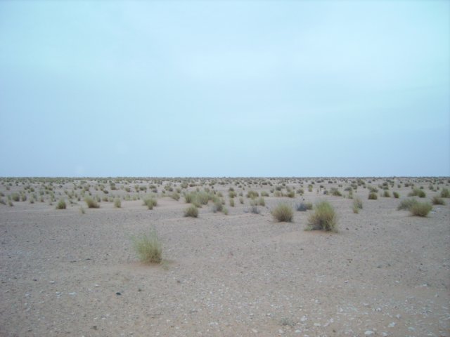 tunisia0081.jpg